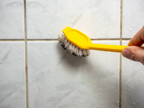 Mold Testing and Removal in Kane, PA